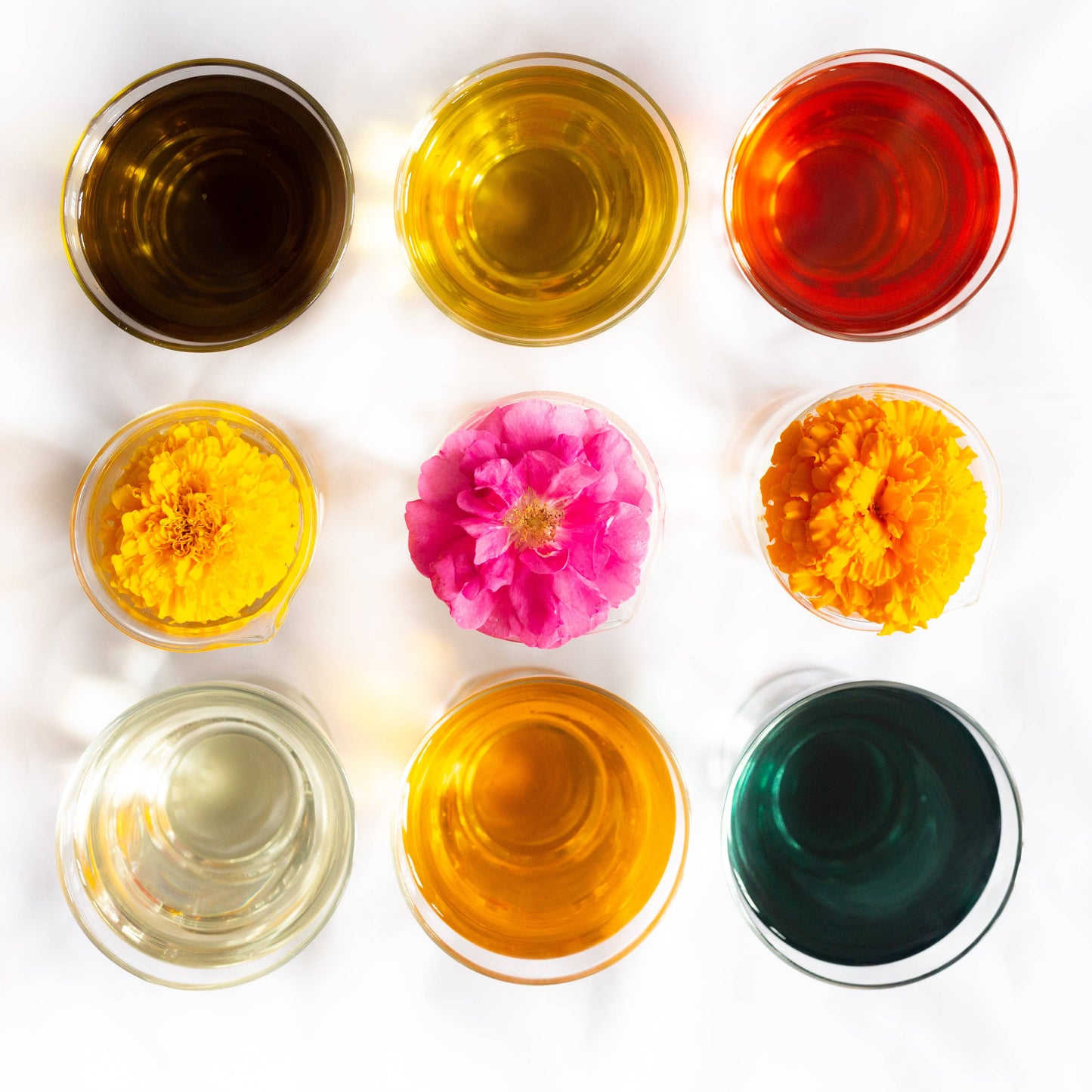 Partridgeberry + Mint | Wild Herb Infused Lip Balm