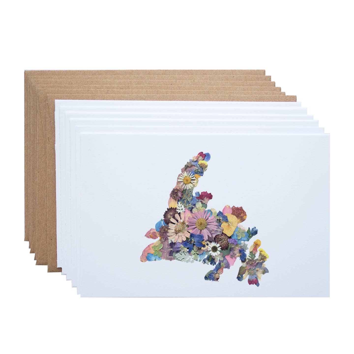 Newfoundland Map Pressed Flower Note Card Set