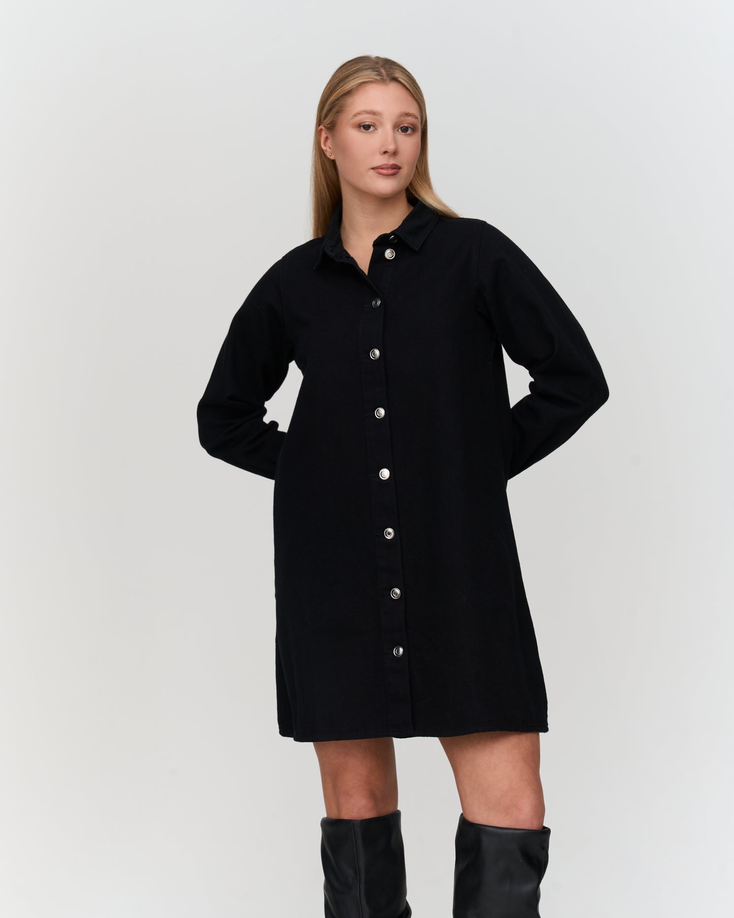 Simone Denim Dress