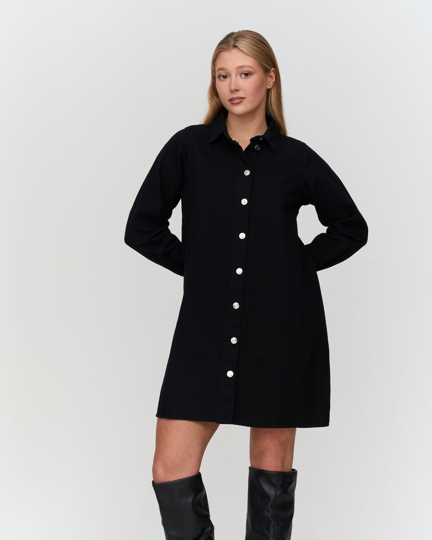 Simone Denim Dress