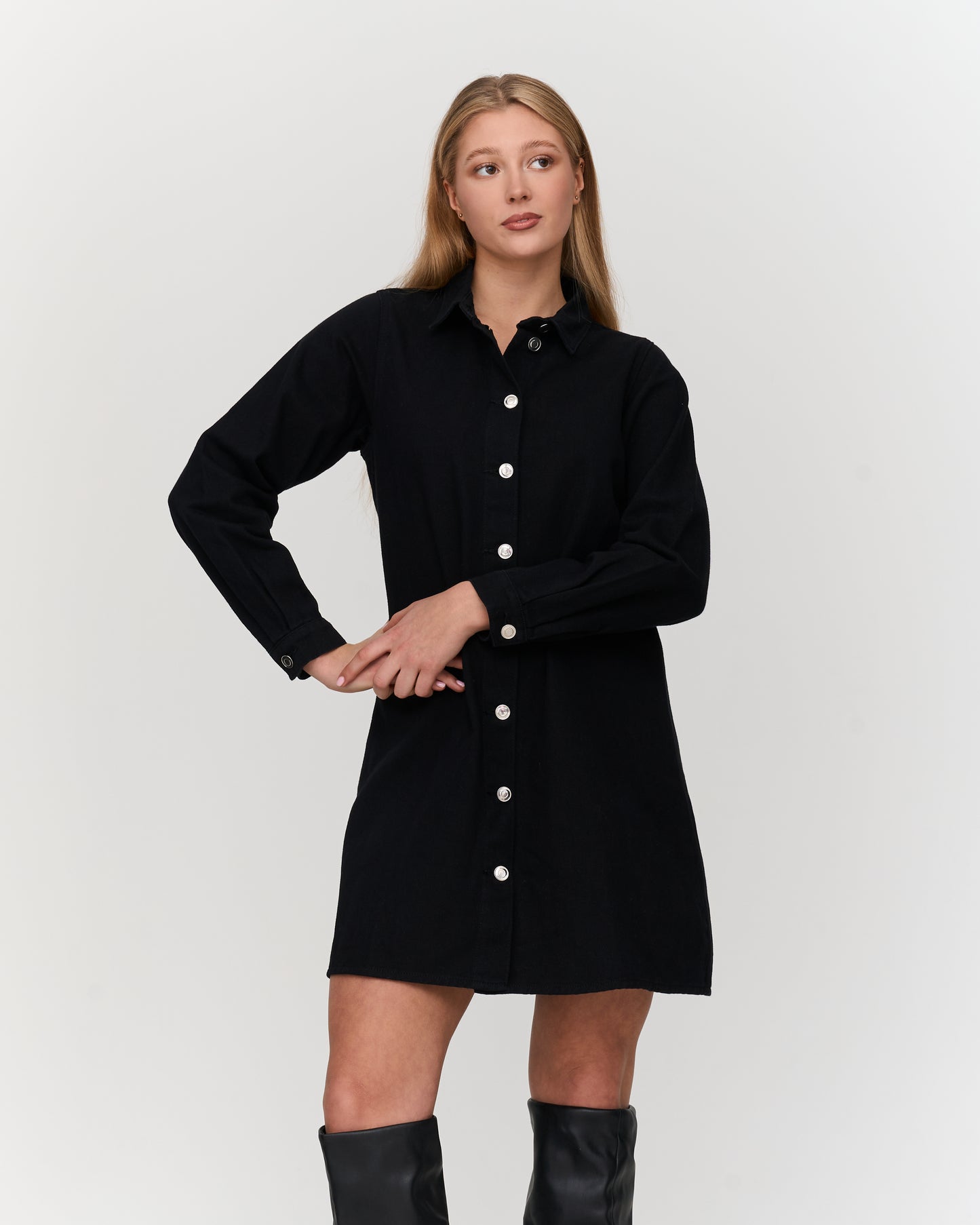 Simone Denim Dress