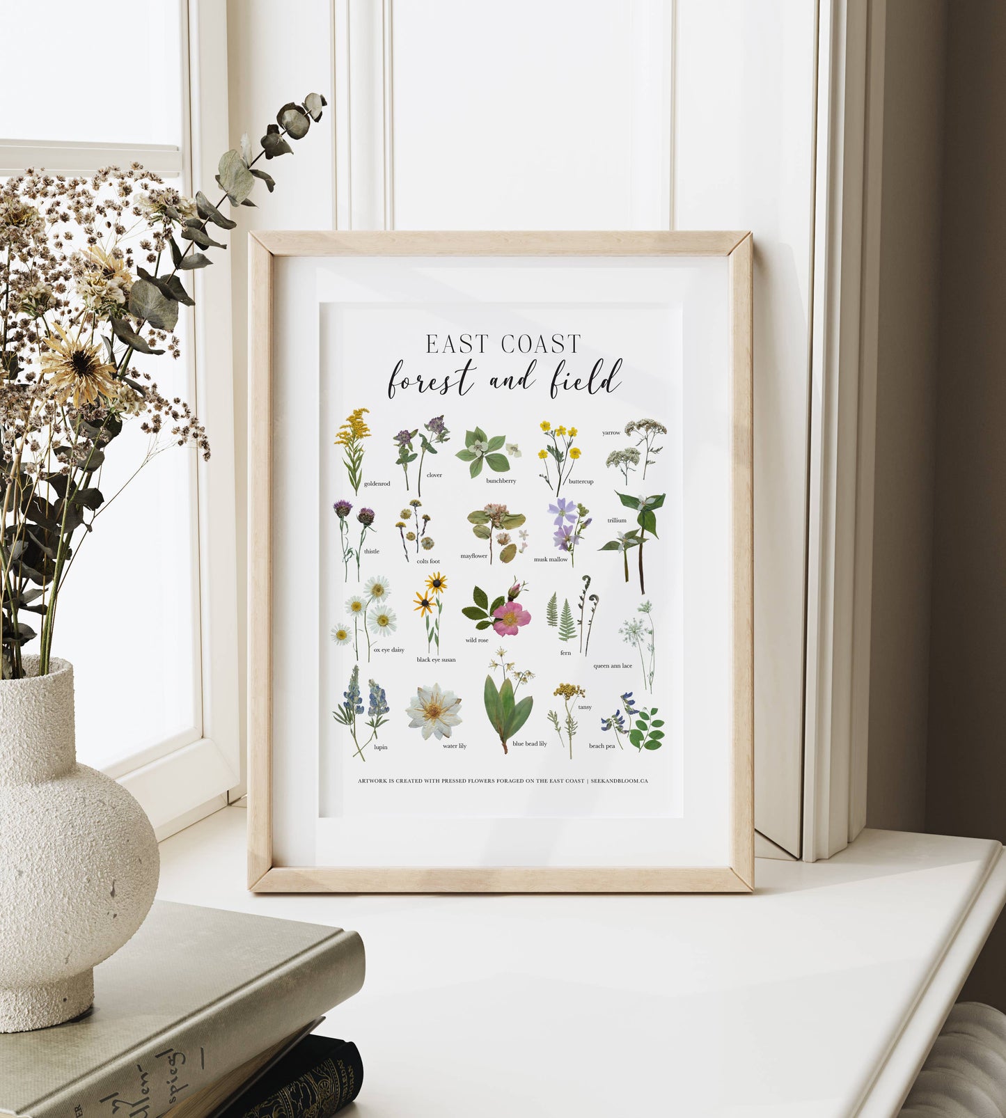 Forest and Field East Coast Wildflowers Art Print 8x10