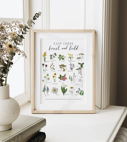 Forest and Field East Coast Wildflowers Art Print 8x10