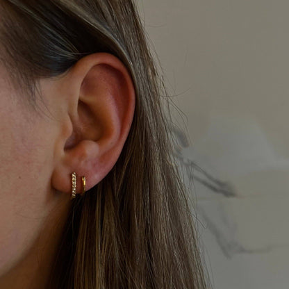 Double Trouble Earrings