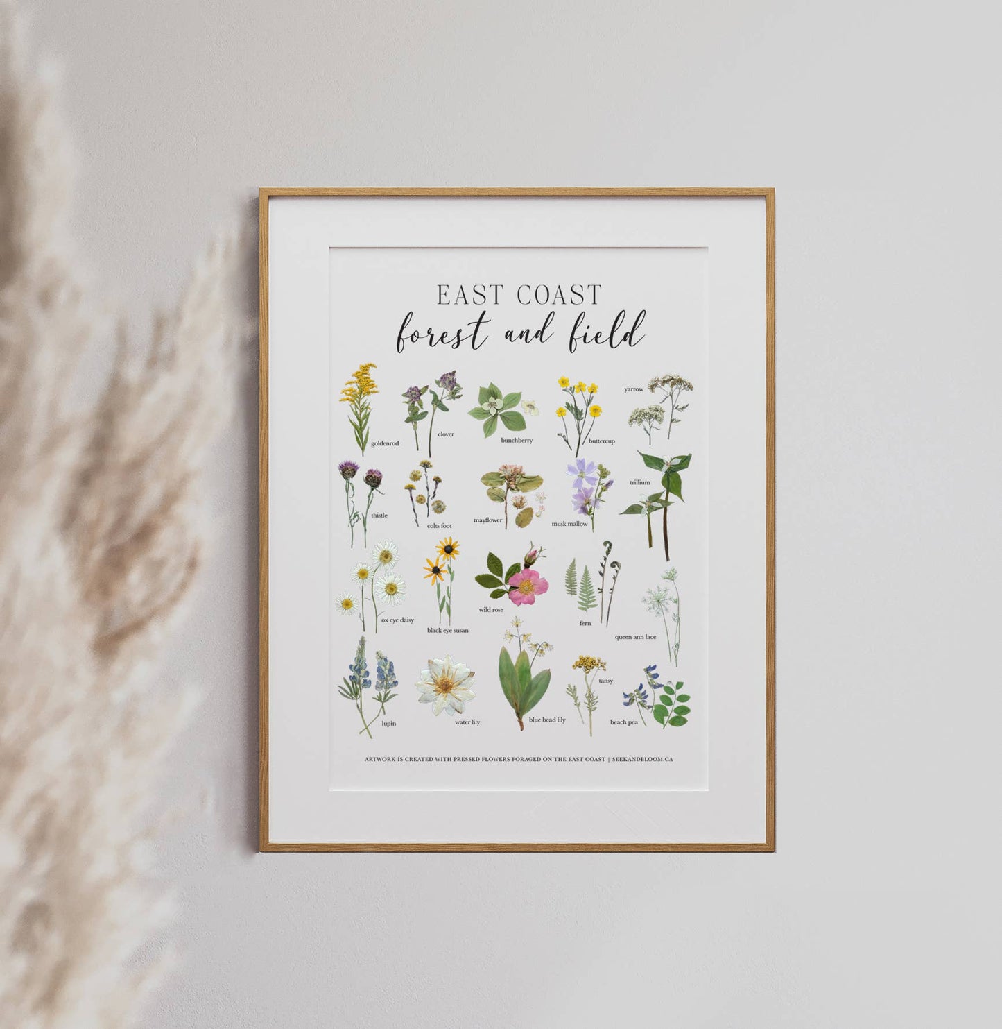 Forest and Field East Coast Wildflowers Art Print 8x10