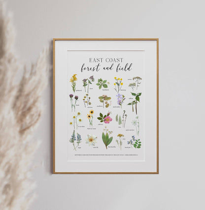 Forest and Field East Coast Wildflowers Art Print 8x10