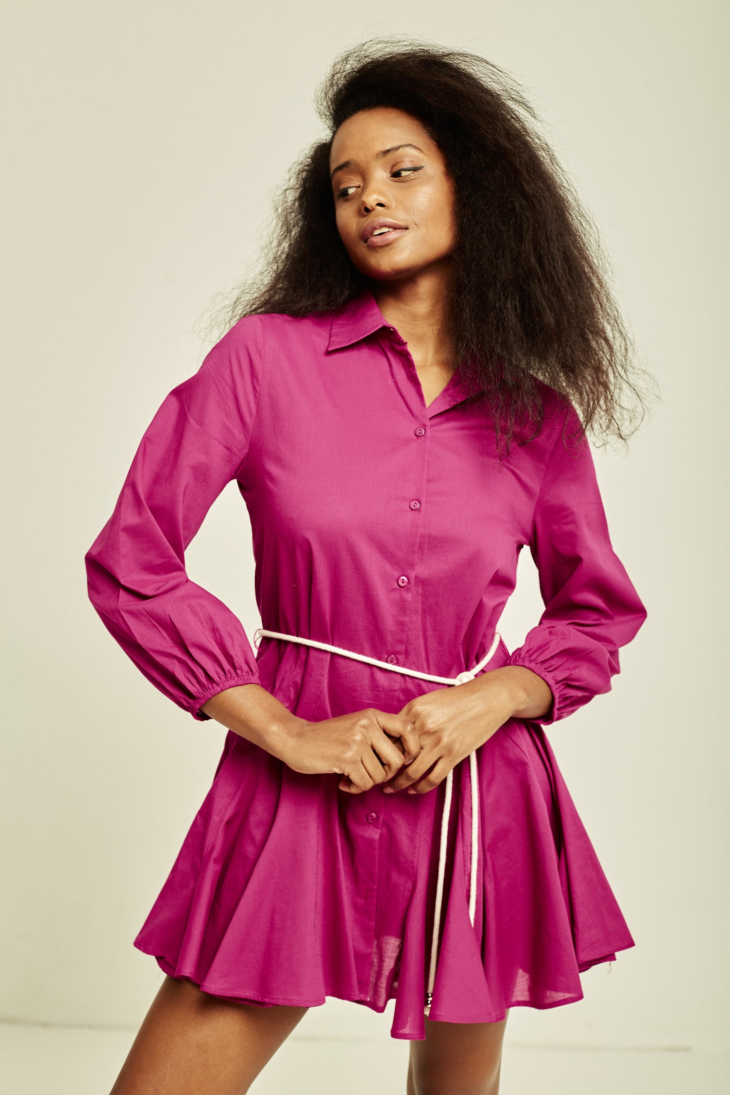 Ellie Shirt Mini Dress